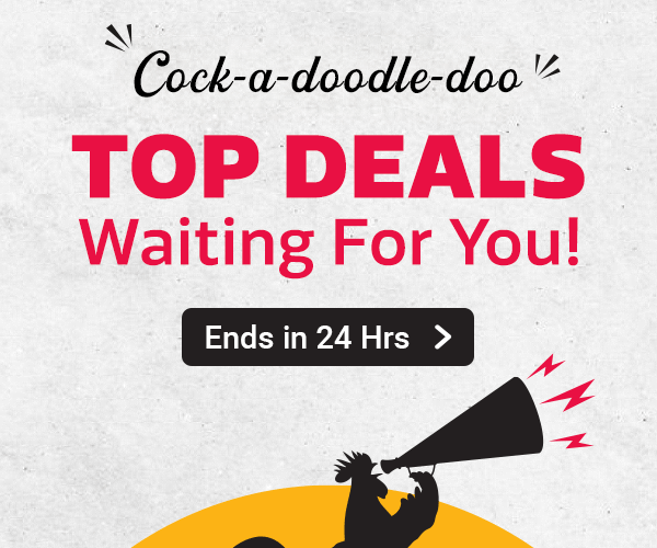 Top Deals Waiting For You